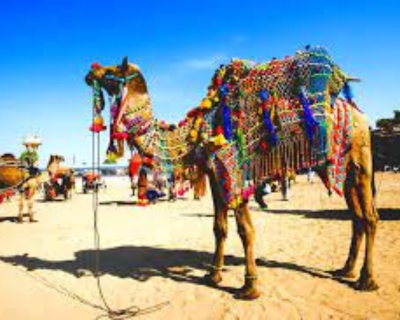 Service Provider of 14 Nights 15 Days Rajasthan Village Tour in Daryaganj, Delhi, India.