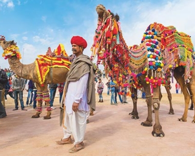 Service Provider of Golden Triangle With Pushkar Tour in Daryaganj, Delhi, India.