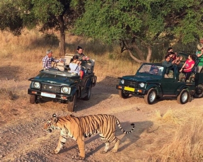 Service Provider of Golden Triangle With Ranthambore Tour in Daryaganj, Delhi, India.